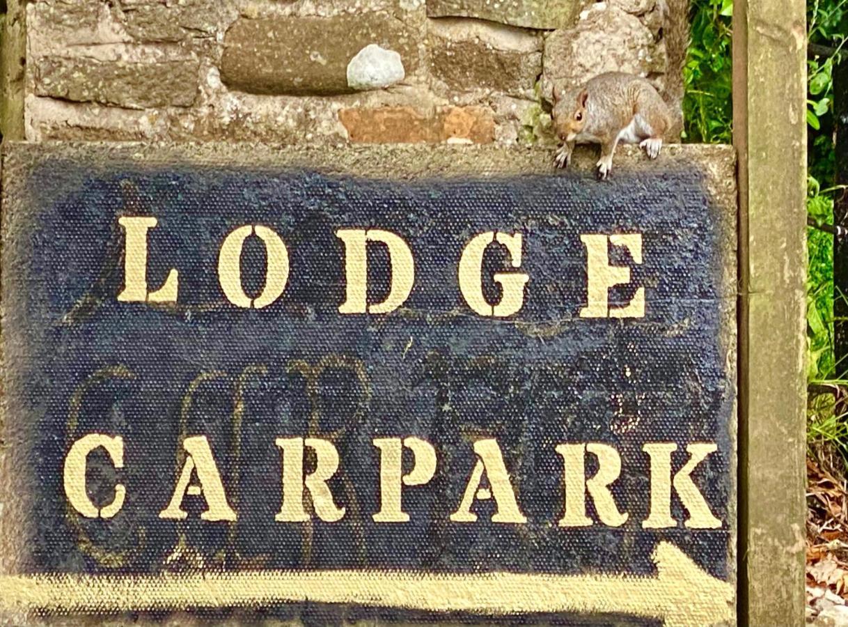 Unique Orchard Lodge For Couples With Hot Tub Strathaven Eksteriør bilde